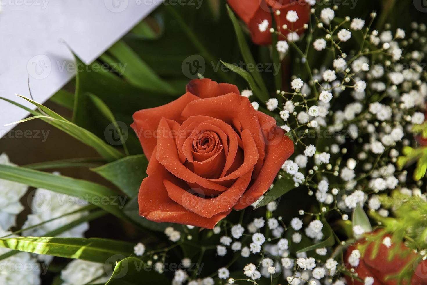 Red roses wreath photo