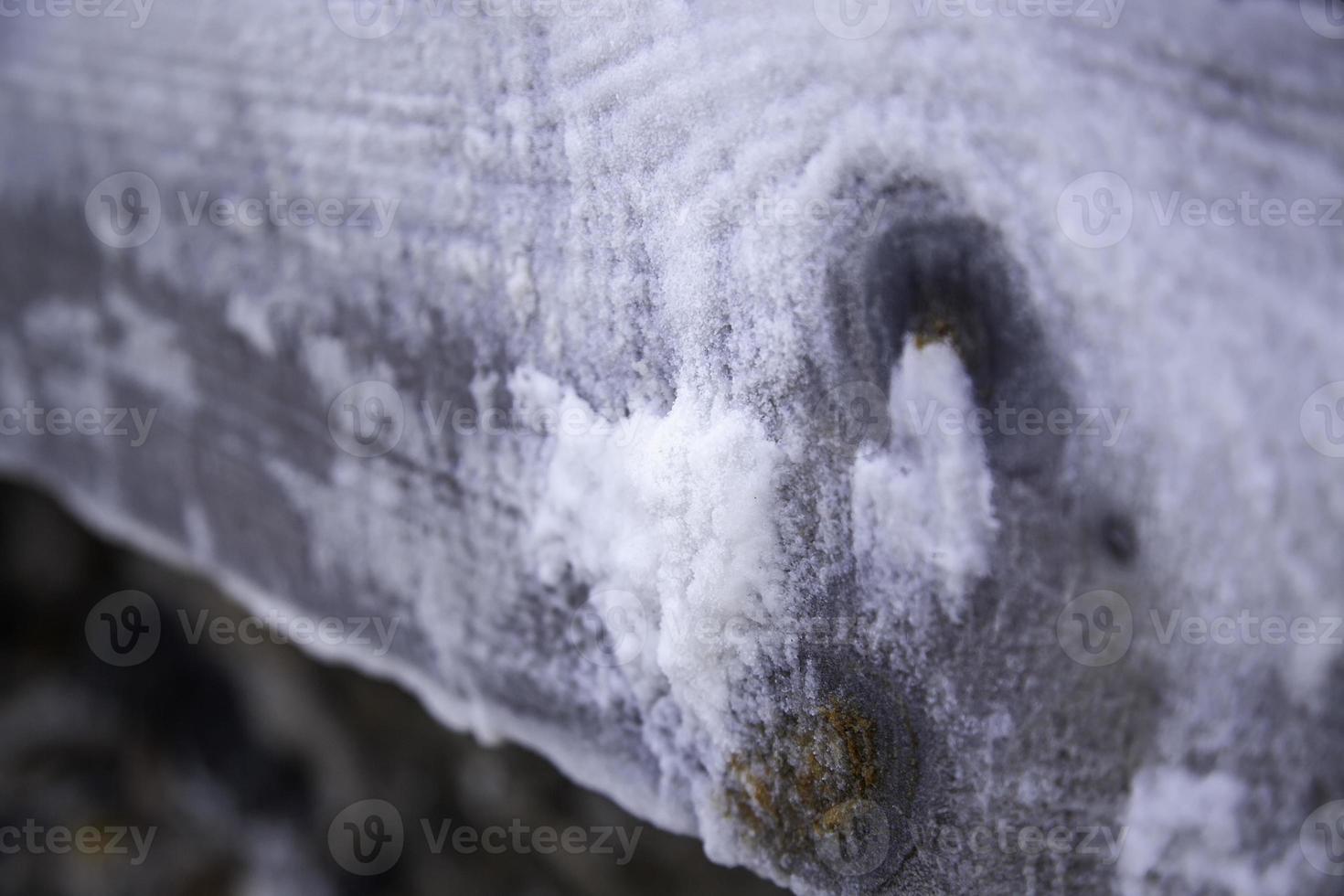 sal seca sobre madera foto