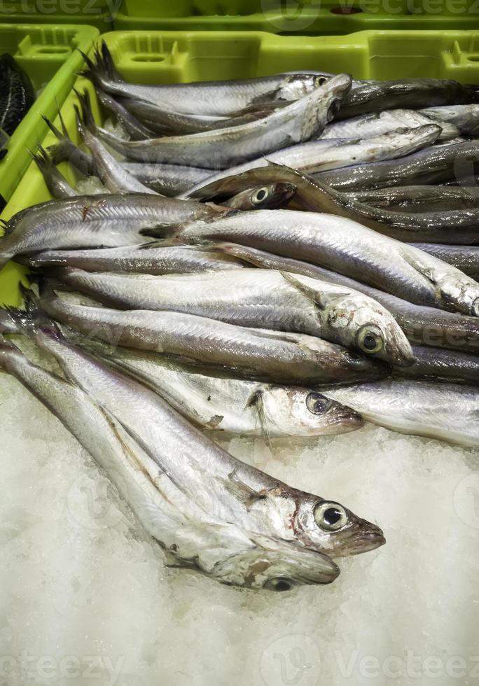 Anchovies and sardines fishmonger photo