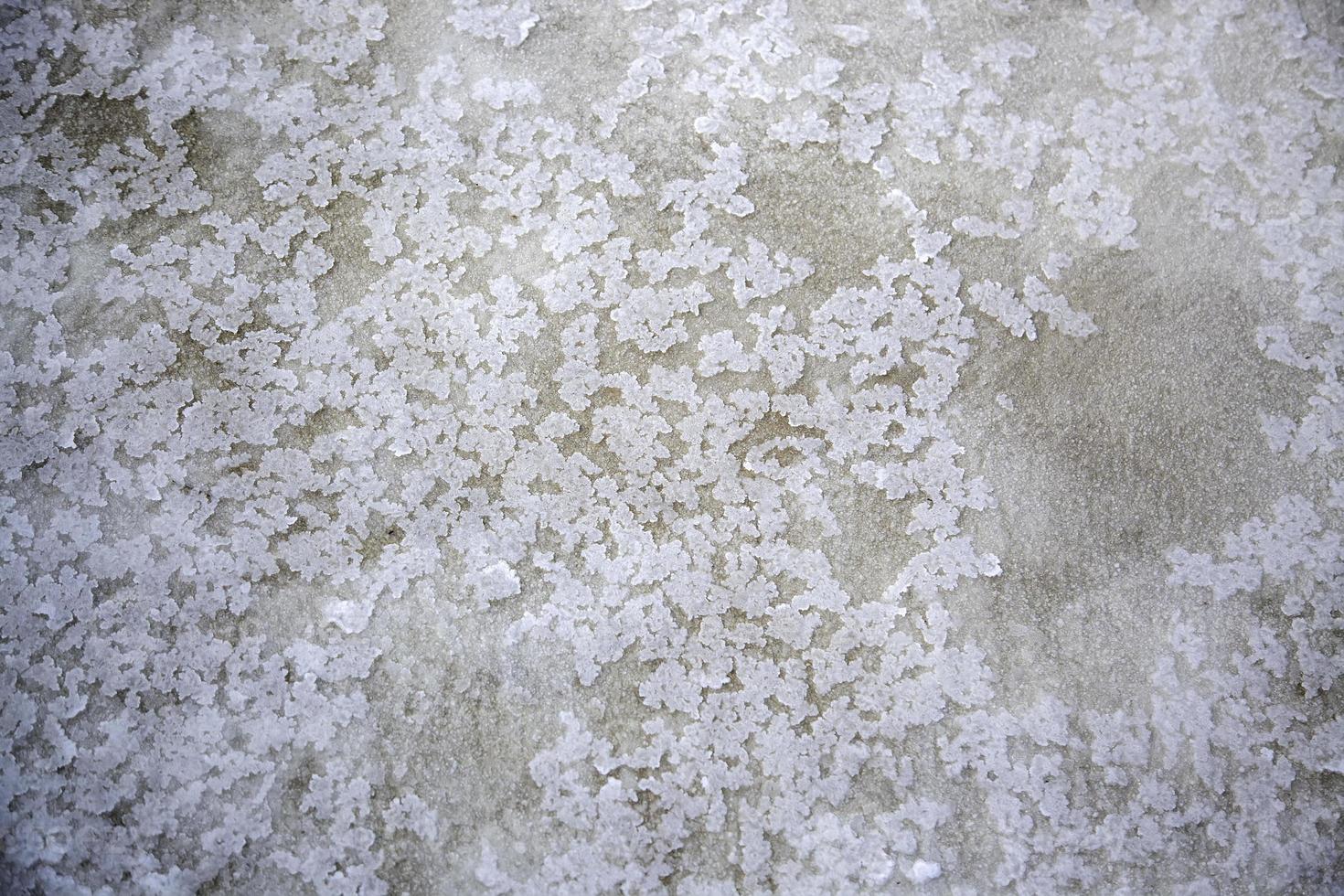 Salt in saline production , navarre, spain photo