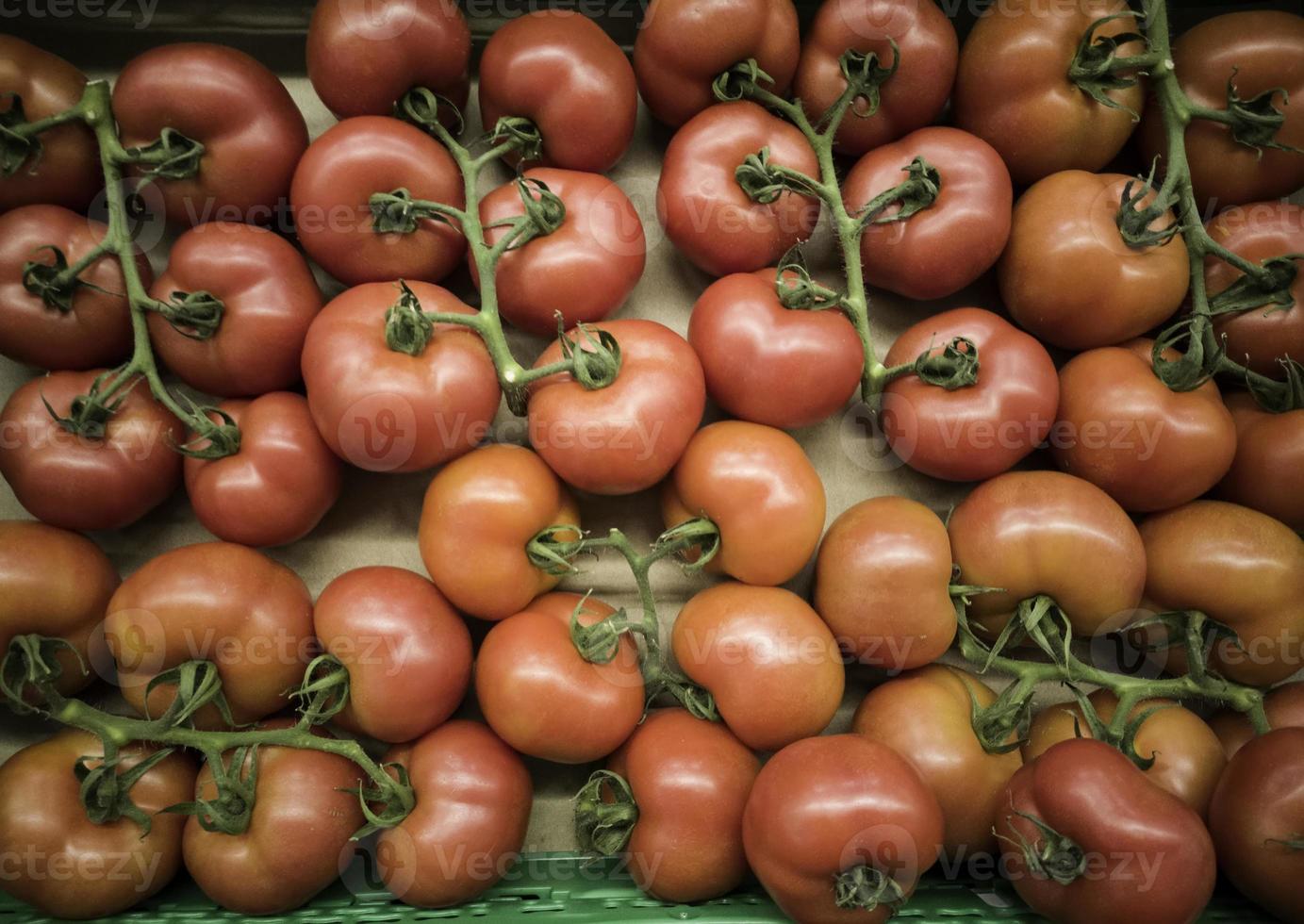 tomates en rama en un mercado foto