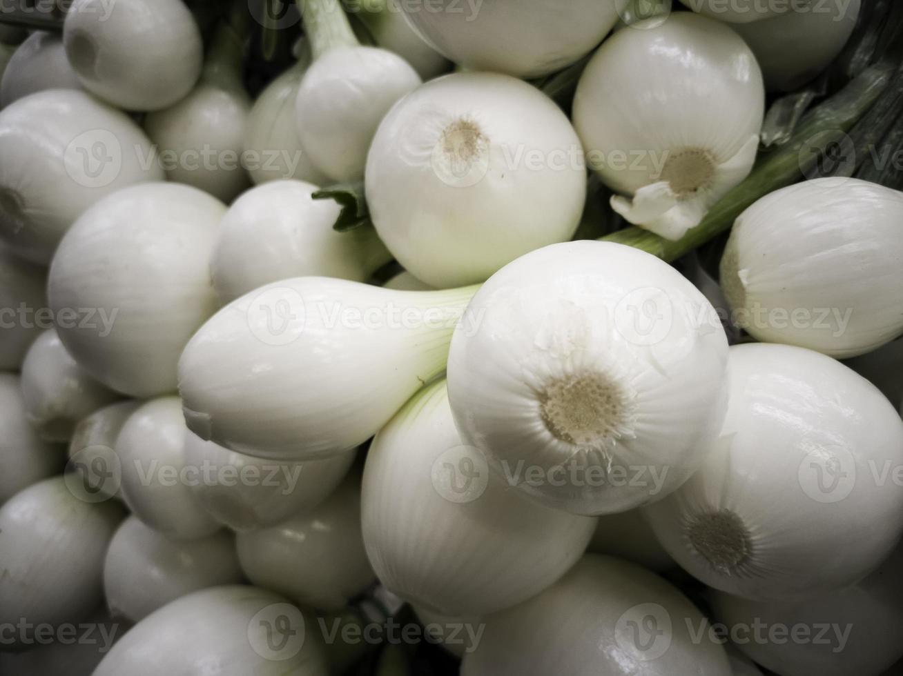 Ecological onions in a market photo