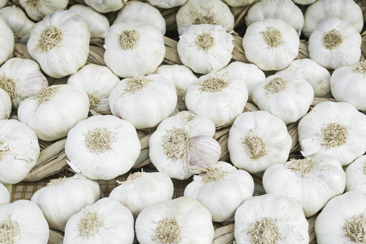 Raw garlic with skin photo