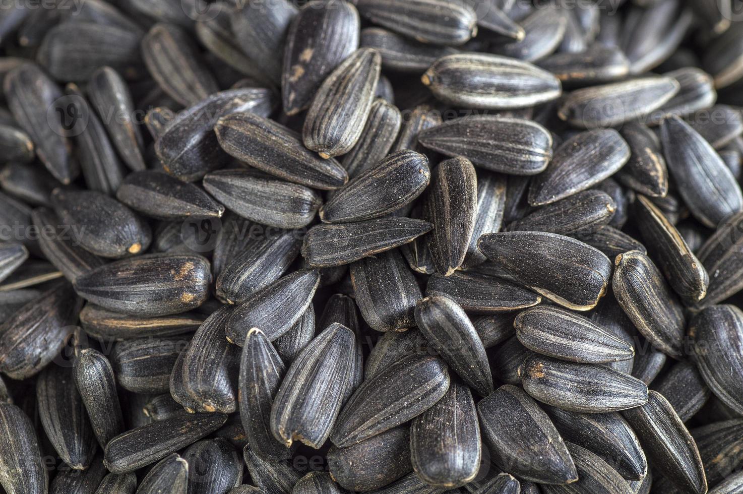 Black sunflower seeds. For texture or background photo