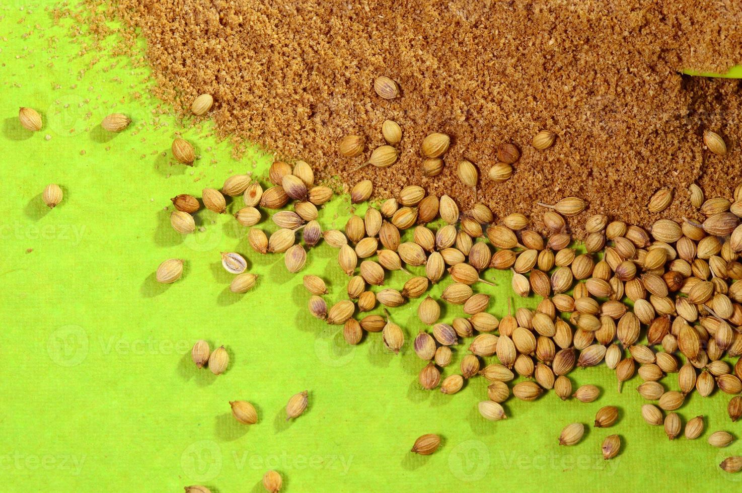 Coriander seeds and Powdered coriander on green background photo