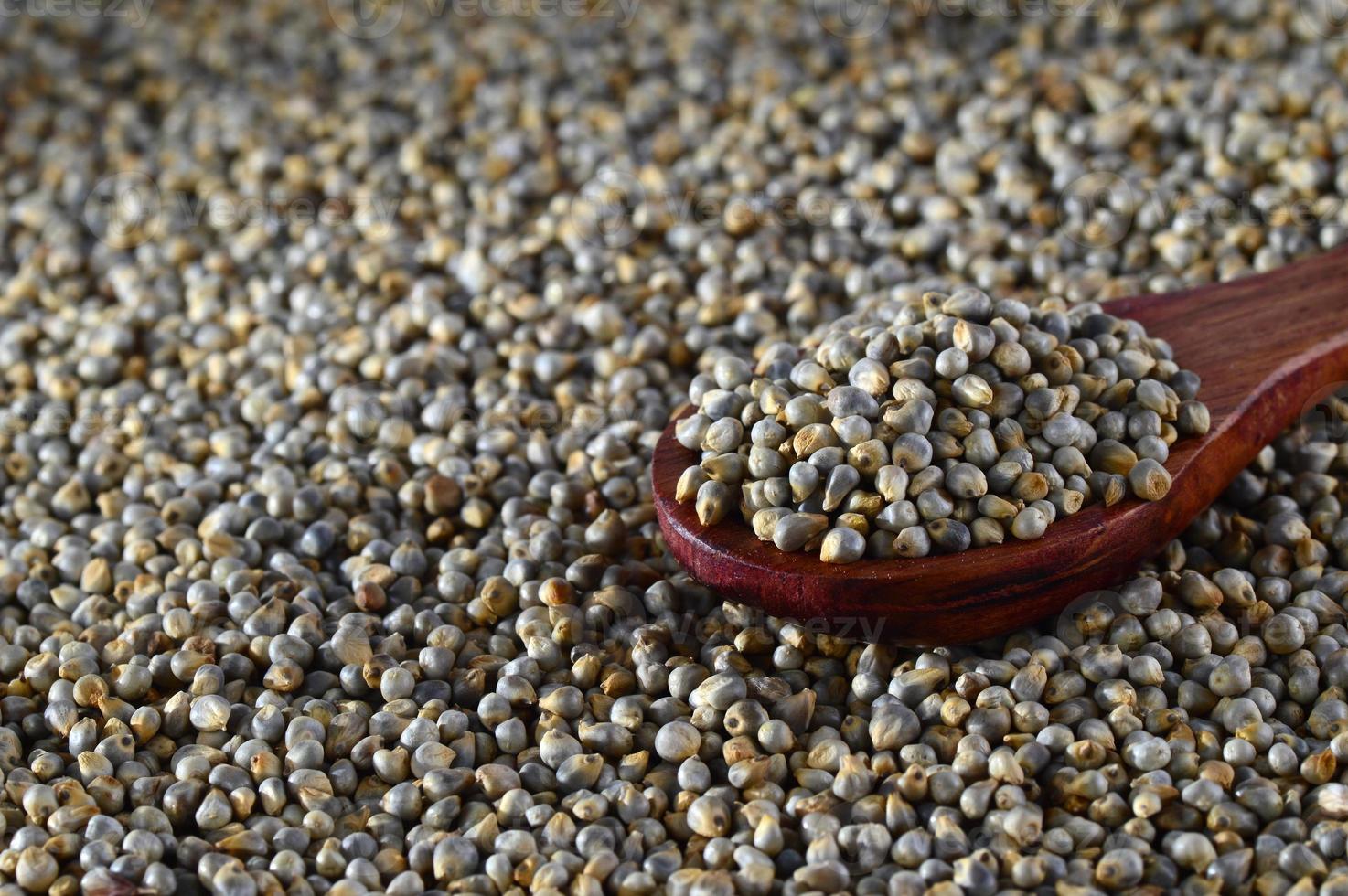 close up of Pearl Millet, Bajra with wooden spoon. 2859495 Stock Photo