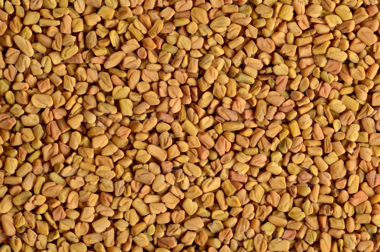 Fenugreek seeds as background. Close up texture photo