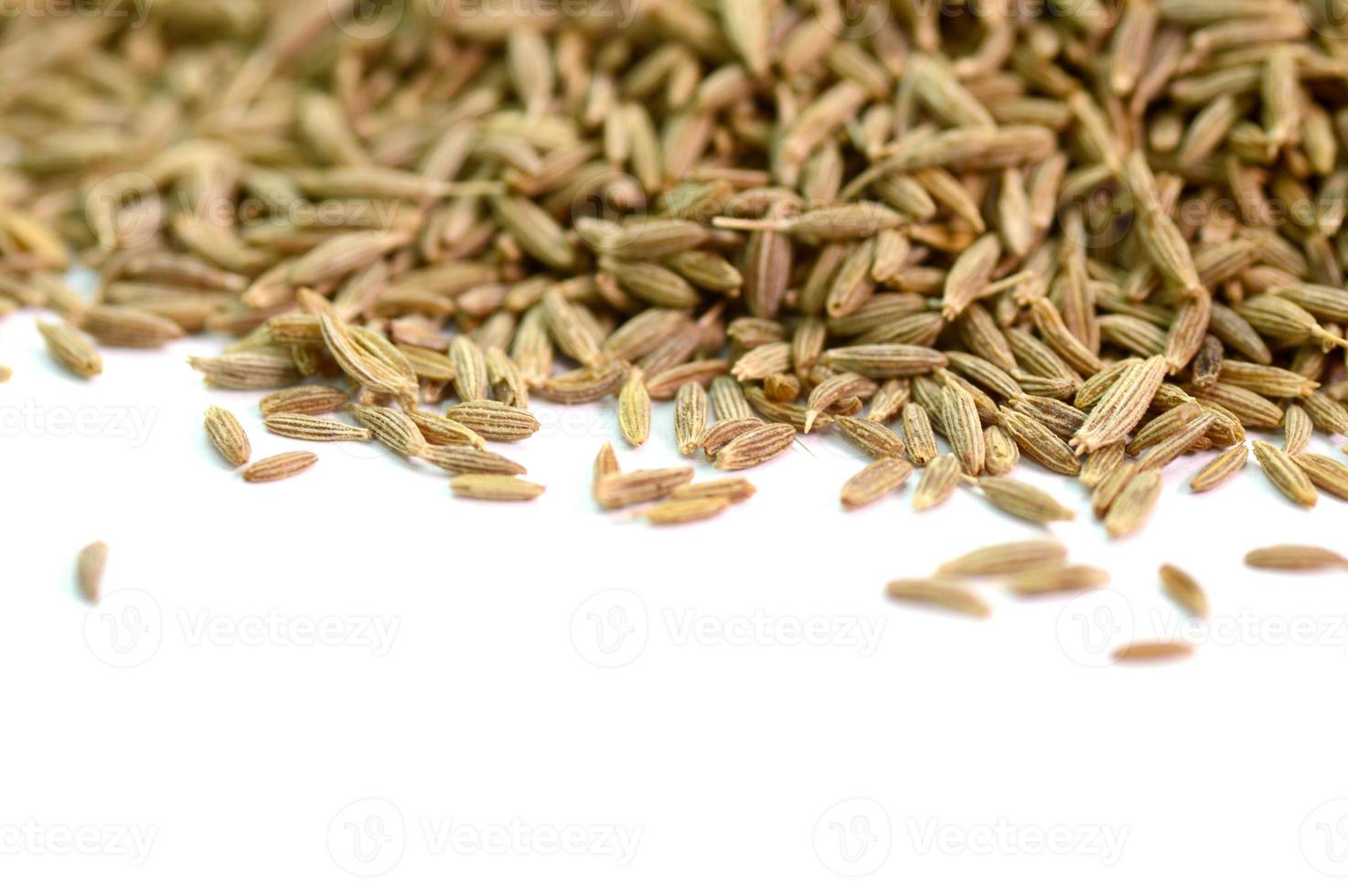 cumin seeds isolated on white background photo