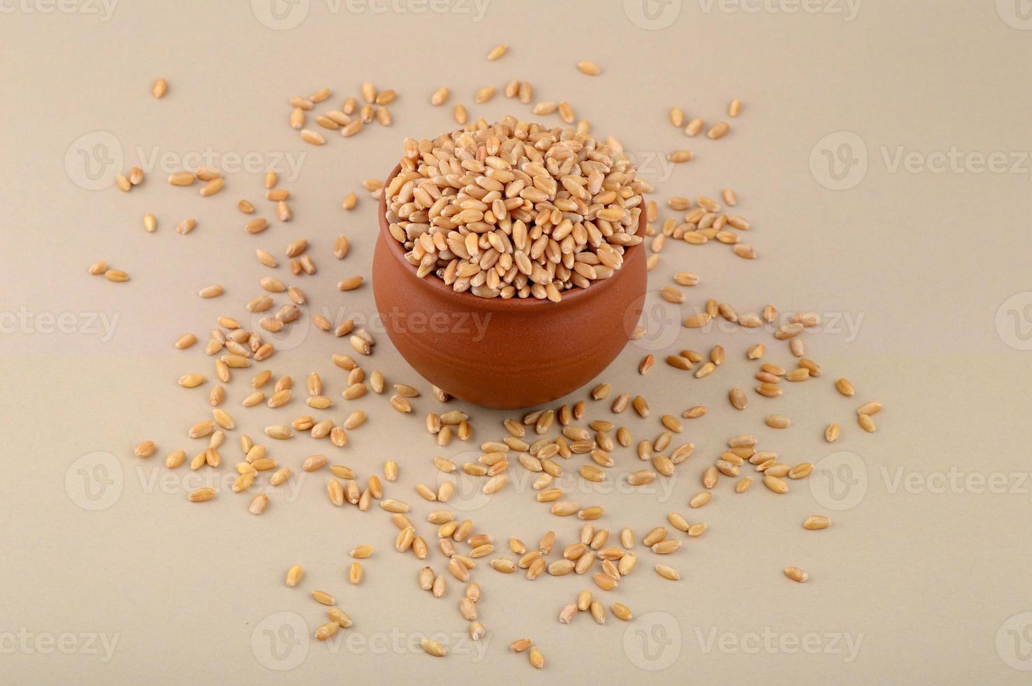 Wheat grains in clay pot on cream background. Close up. photo