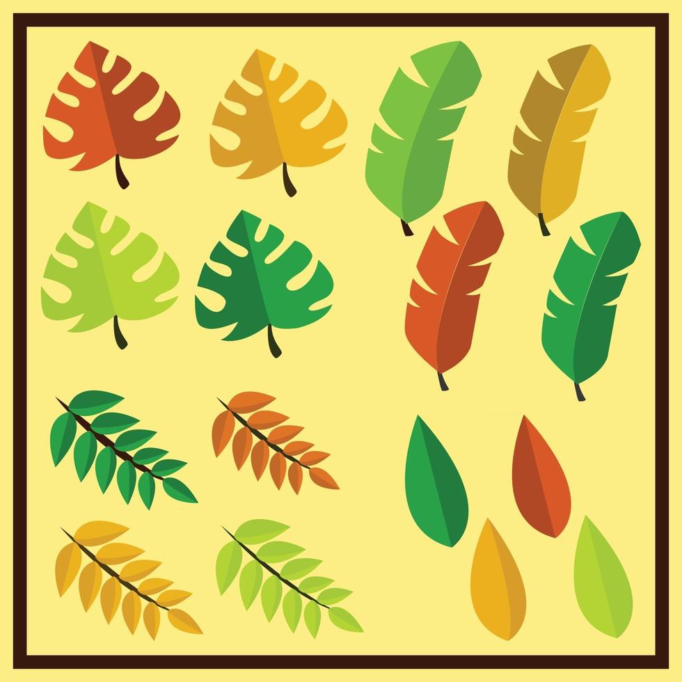 Set of Autumn And Fall Leaves vector