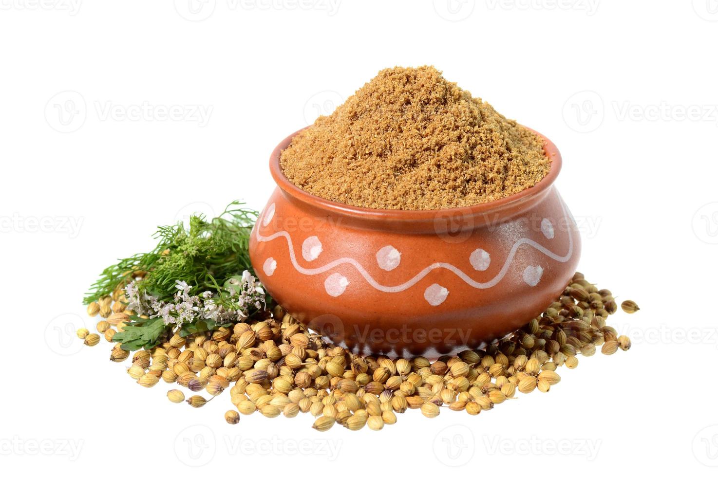 Coriander seeds, Fresh Coriander and Powdered coriander isolated on white background. photo