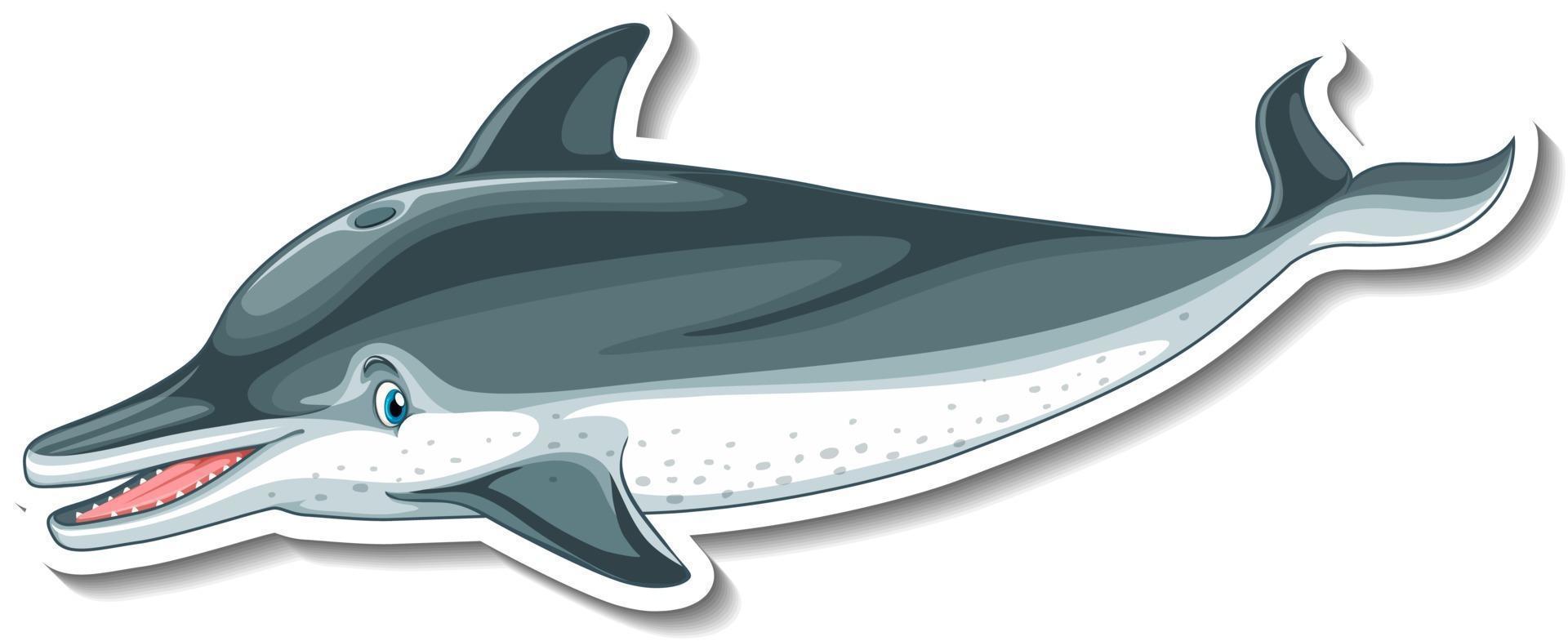 Sticker template with a dolphin cartoon character isolated vector