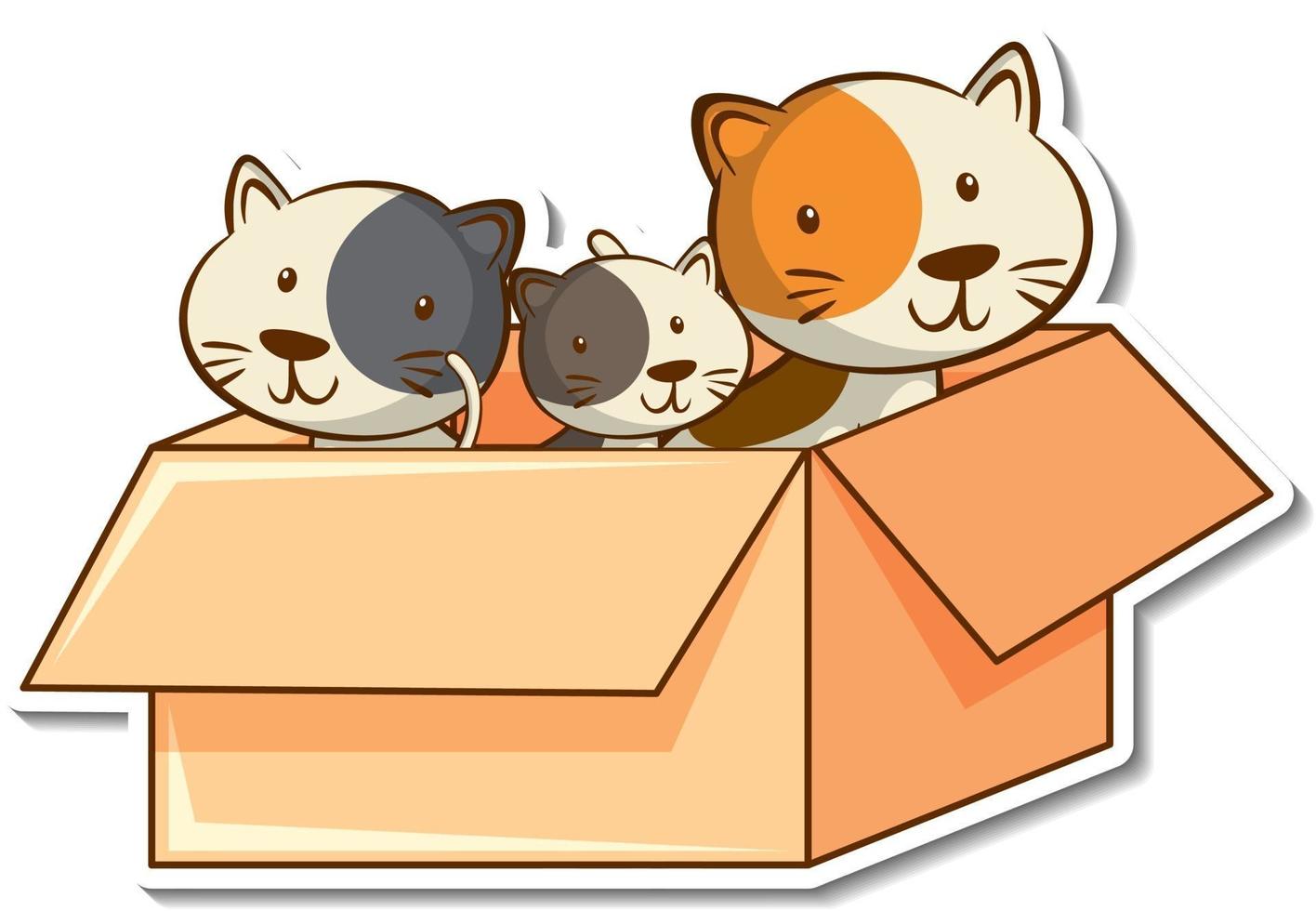 miembros de la familia del gato en la etiqueta de la caja vector
