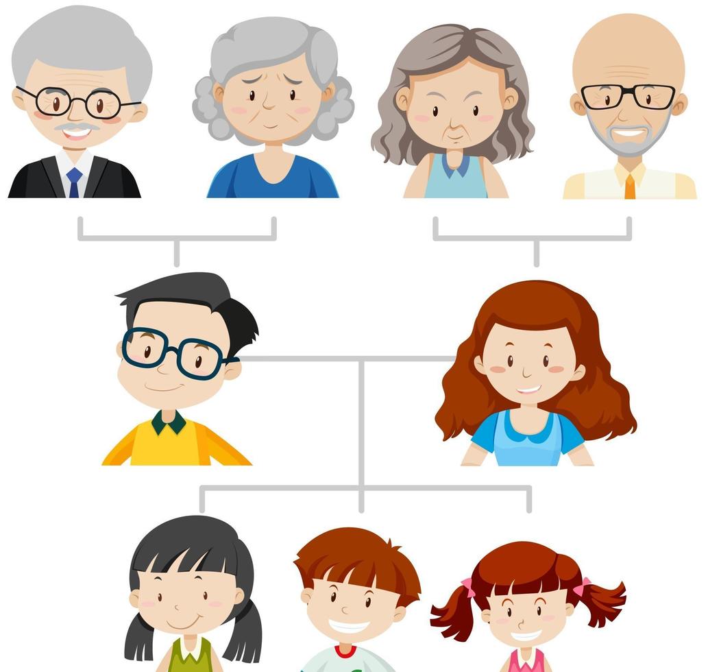 Diagram showing three generation family tree vector