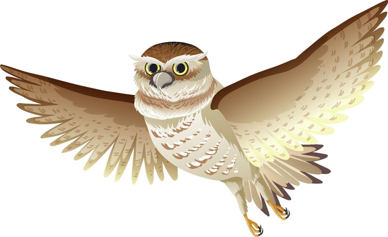 Owl bird in flying pose isolated vector