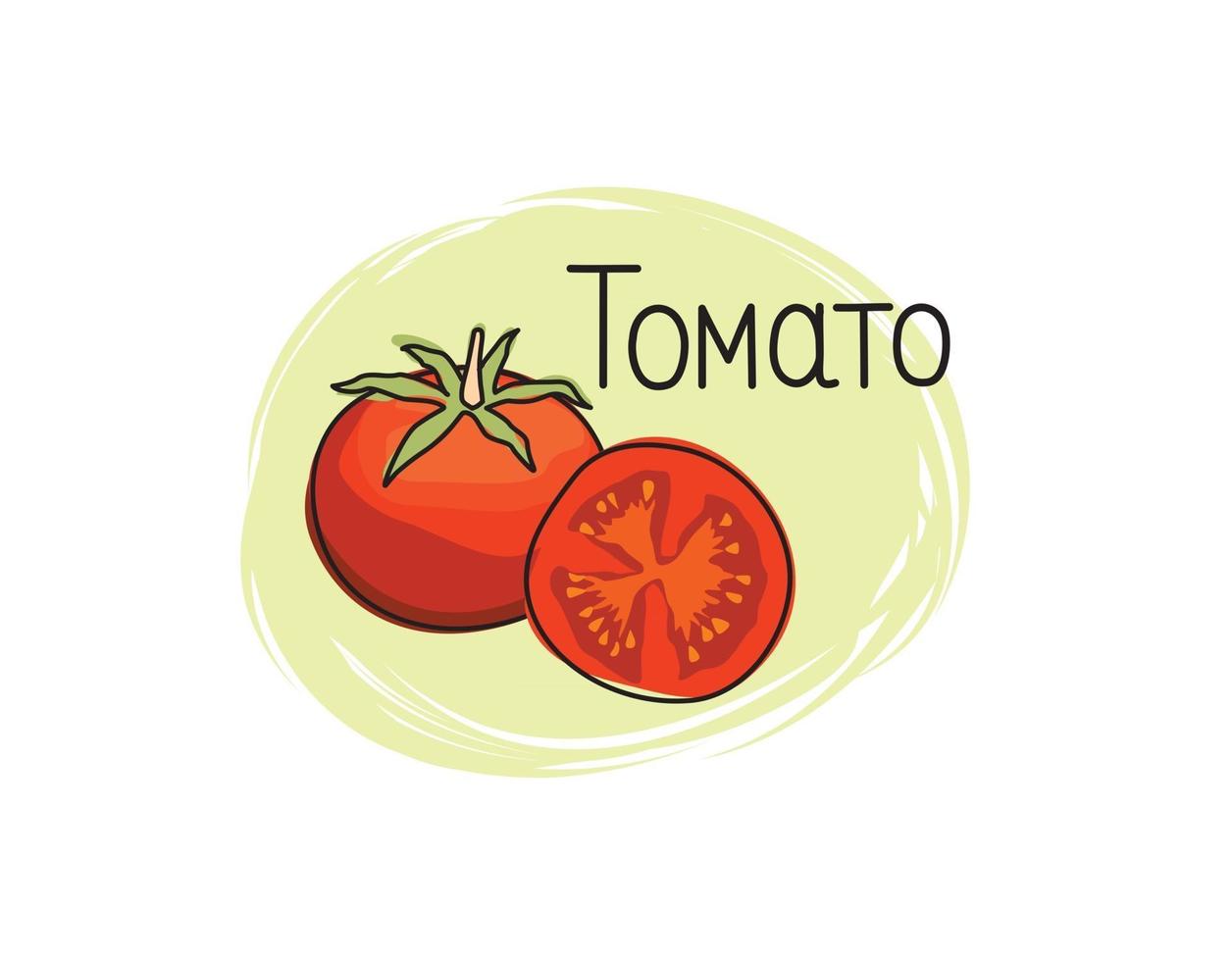 Red tomato icon. Full and sliced tomato isolated on white background with lettering Tomato. Vegetable stylish drawn symbol tomato vector