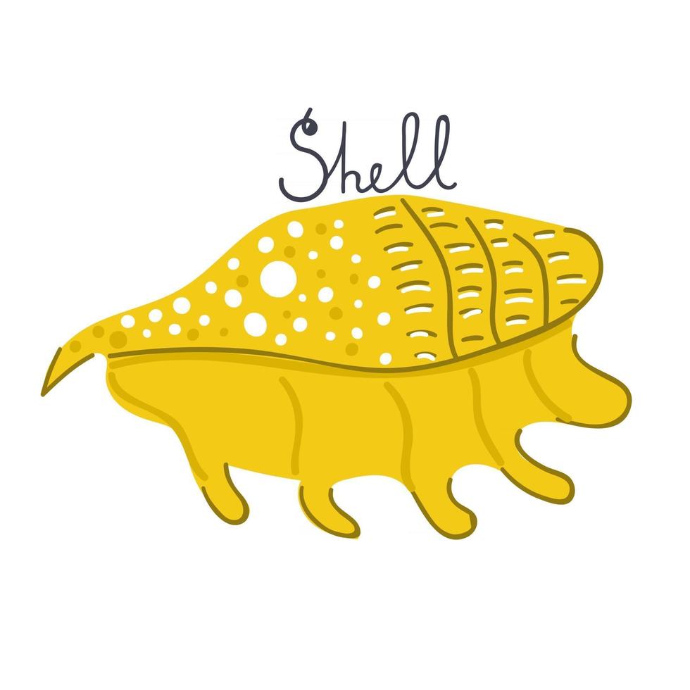 Hand drawn sea shell. Flat vector illustration.