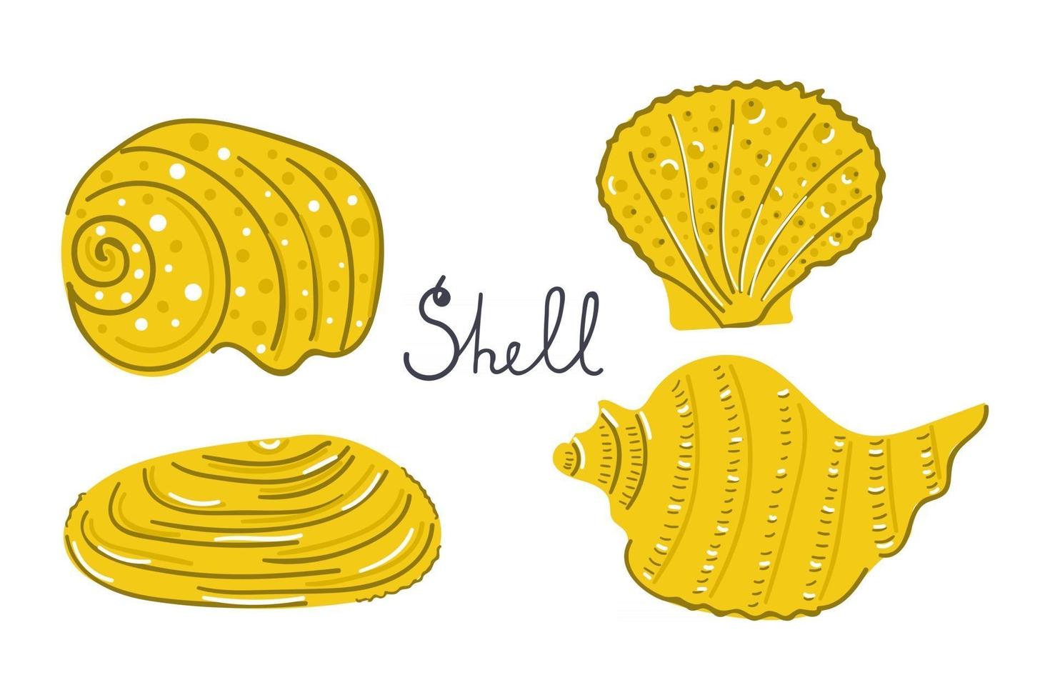 Set of hand drawn sea shells. Modern flat illustration. vector