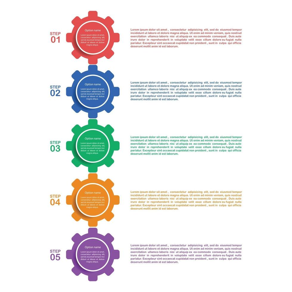 Diseño de plantilla infográfica en 5 opciones. vector