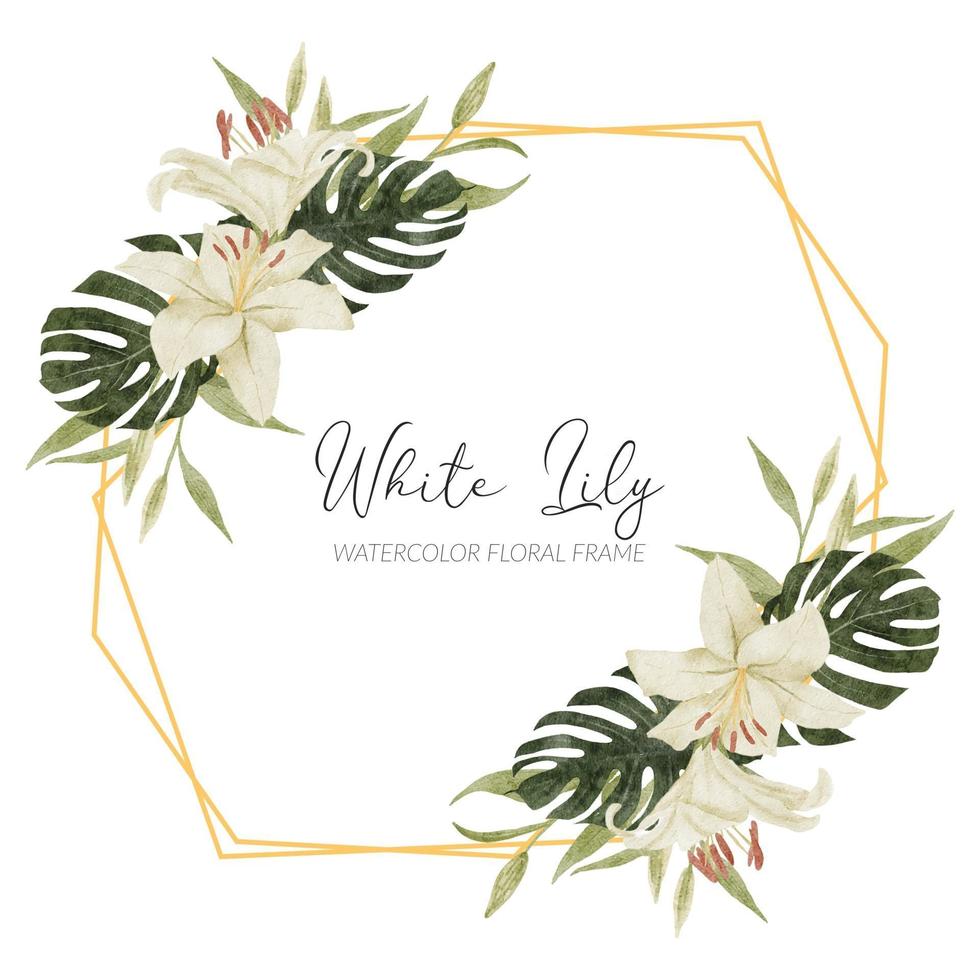 watercolor tropical flower rustic frame with lily vector