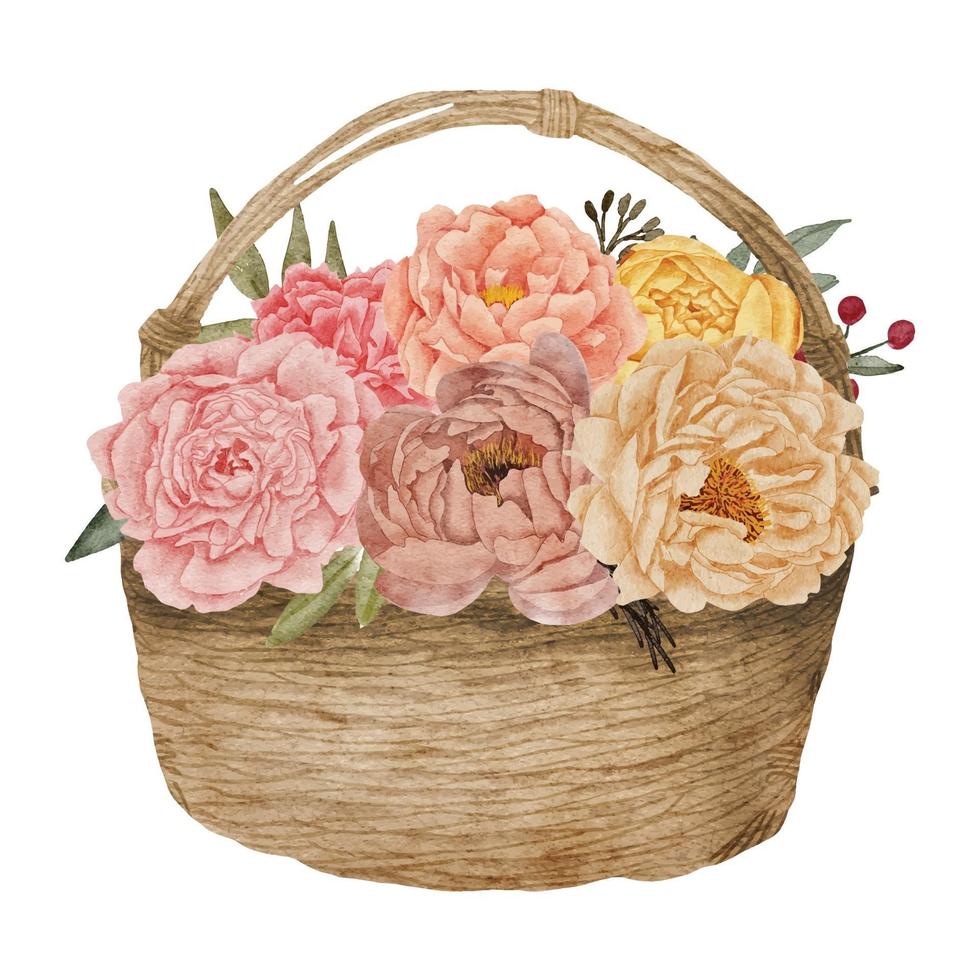 peony flower arrangement on a basket watercolor illustration vector