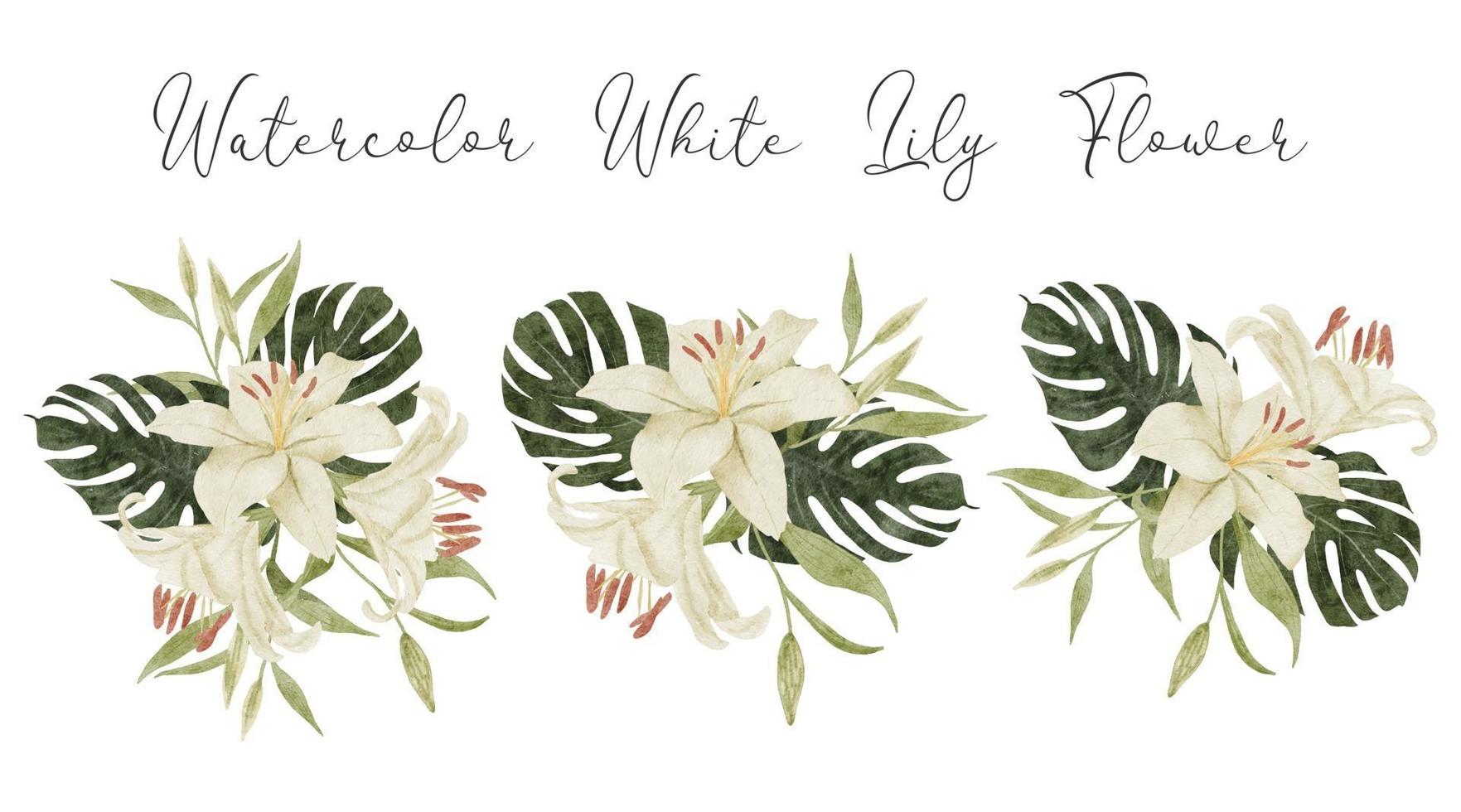 watercolor white lily tropical flower arrangement illustration with monstera vector