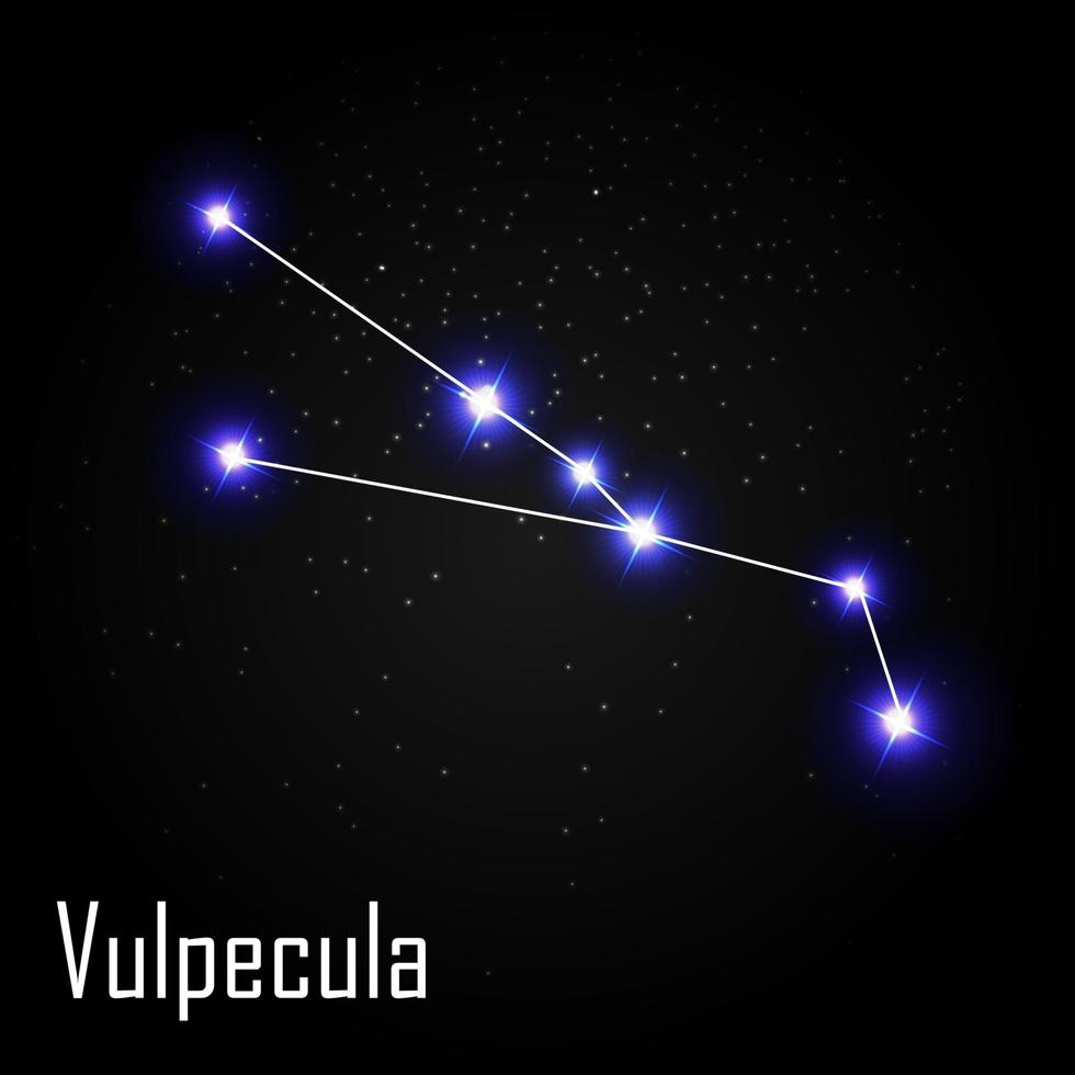 Constelación de vulpecula con hermosas estrellas brillantes en el fondo de la ilustración de vector de cielo cósmico