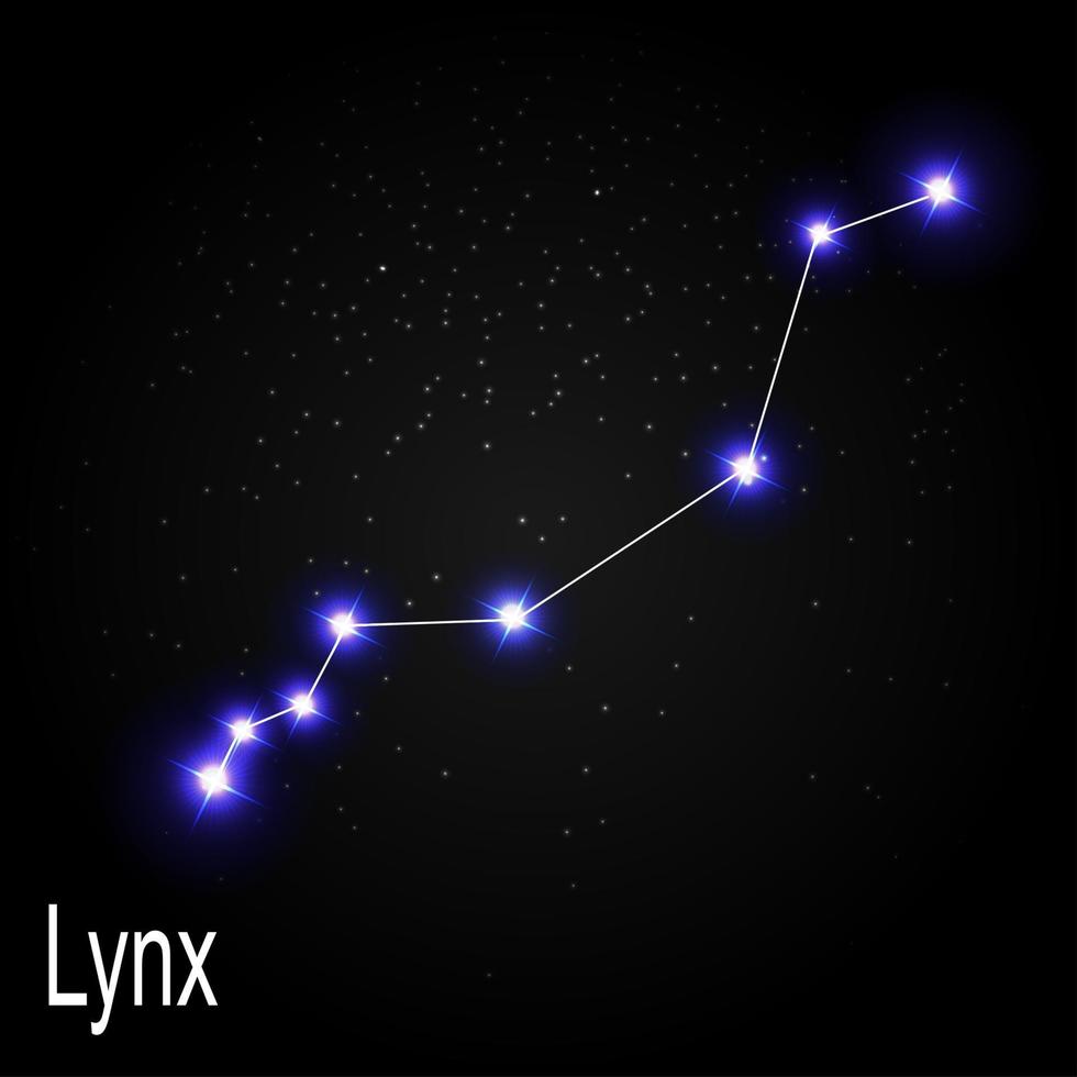 Constelación de lince con hermosas estrellas brillantes en el fondo de la ilustración de vector de cielo cósmico