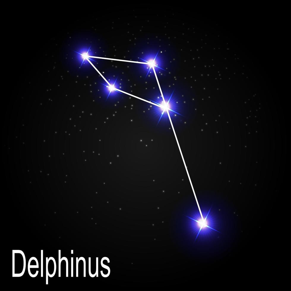 Constelación de Delphinus con hermosas estrellas brillantes en el fondo de la ilustración de vector de cielo cósmico