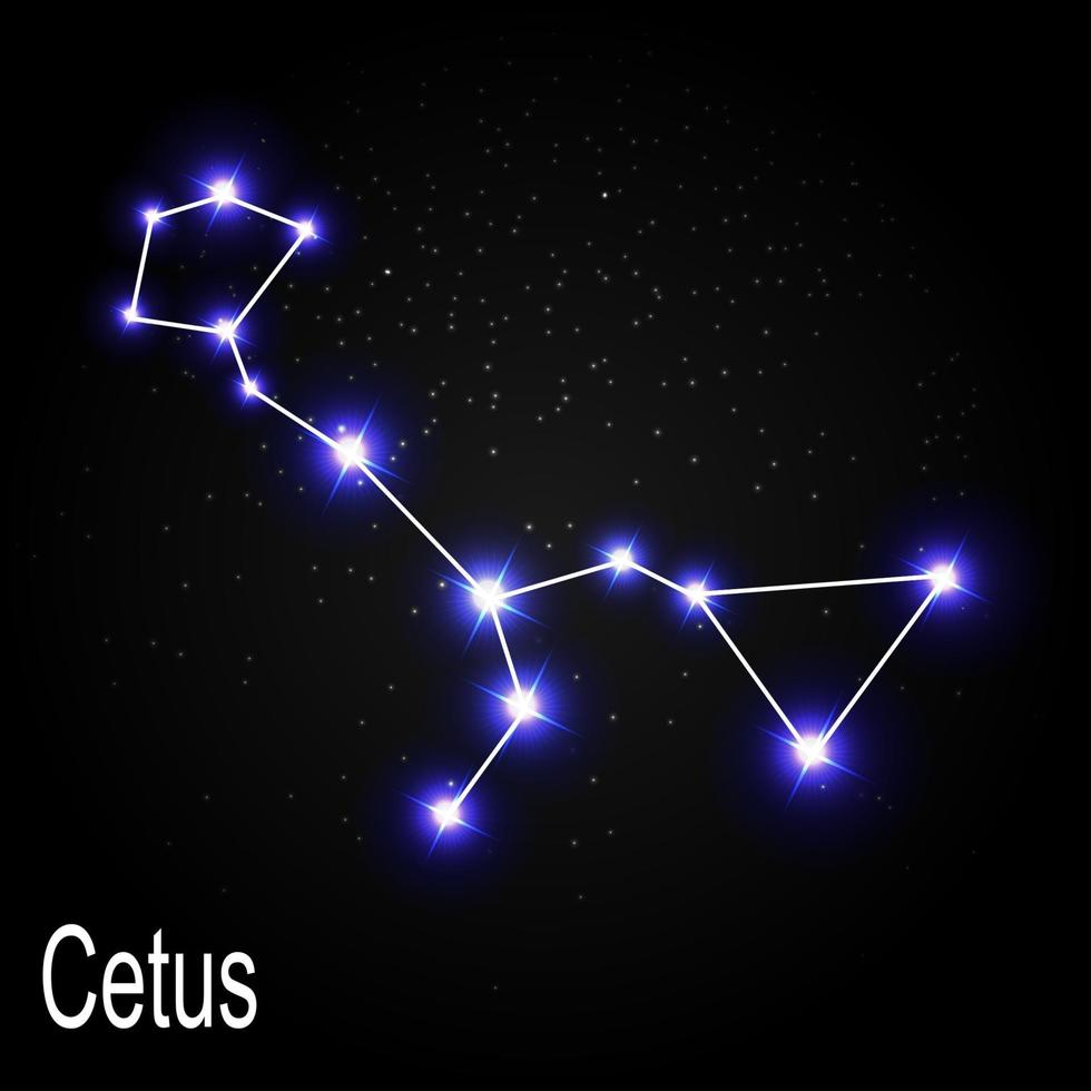Cetus Constellation with Beautiful Bright Stars on the Background of Cosmic Sky Vector Illustration
