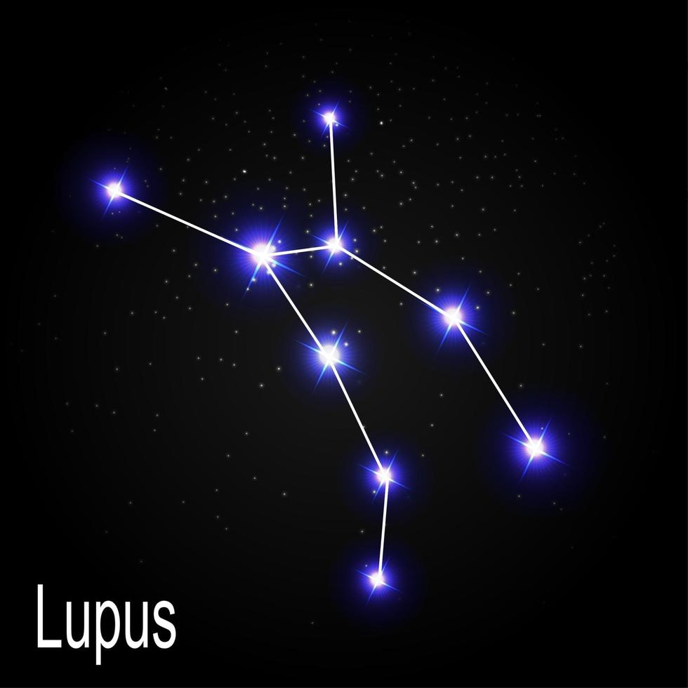 Constelación de lupus con hermosas estrellas brillantes en el fondo de la ilustración de vector de cielo cósmico