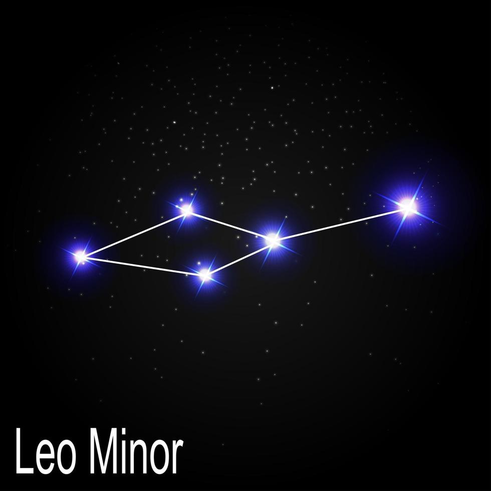 Constelación menor de leo con hermosas estrellas brillantes en el fondo de la ilustración de vector de cielo cósmico