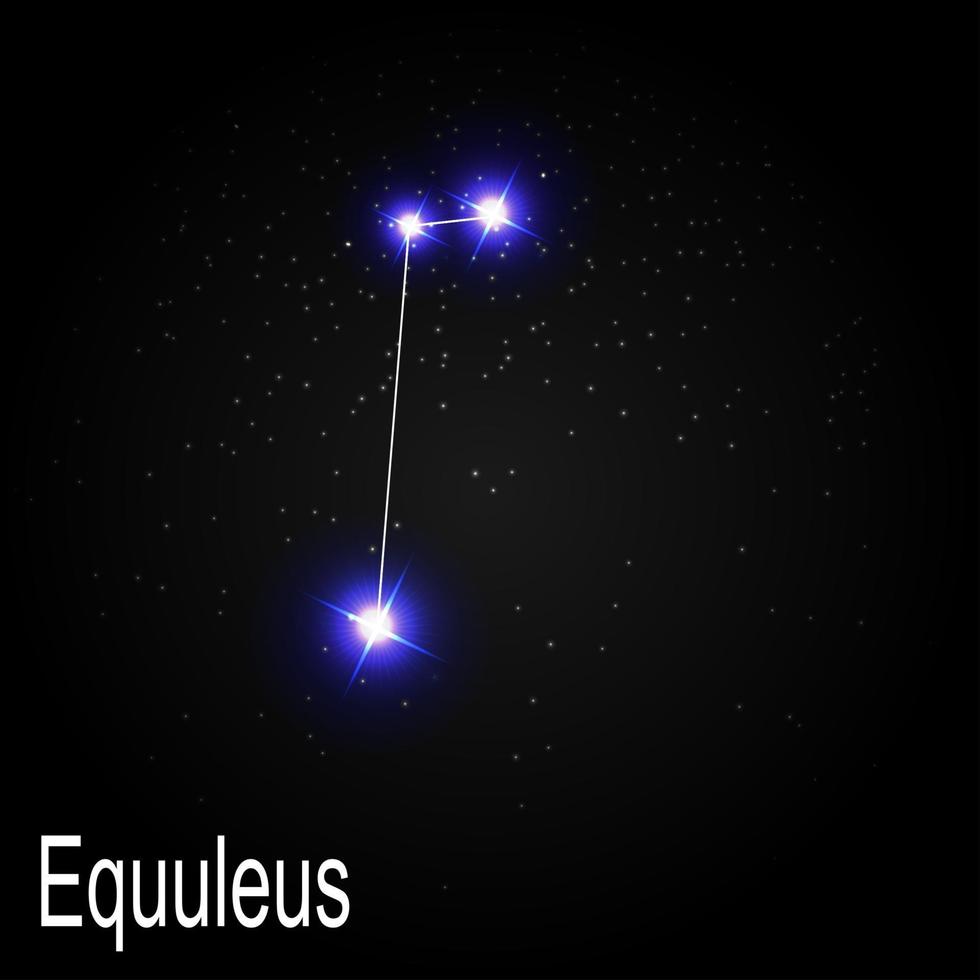 Equuleus Constellation with Beautiful Bright Stars on the Background of Cosmic Sky Vector Illustration
