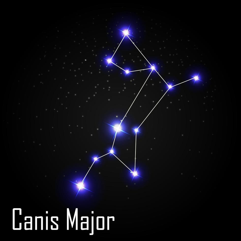 Canis Major Constellation with Beautiful Bright Stars on the Background of Cosmic Sky Vector Illustration