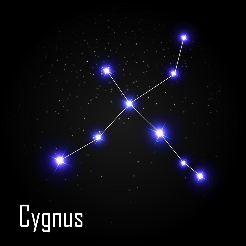 Constelación de Cygnus con hermosas estrellas brillantes en el fondo de la ilustración de vector de cielo cósmico