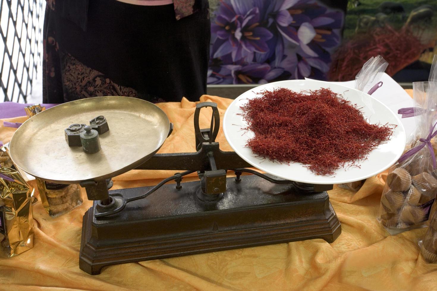 Producer of saffron in France photo