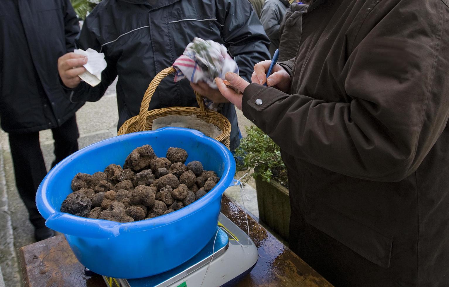 Mercado tradicional de trufas negras en Lalbenque, Francia foto