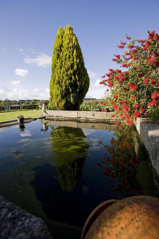 Un estanque rodeado de plantas en un jardín portugués. foto