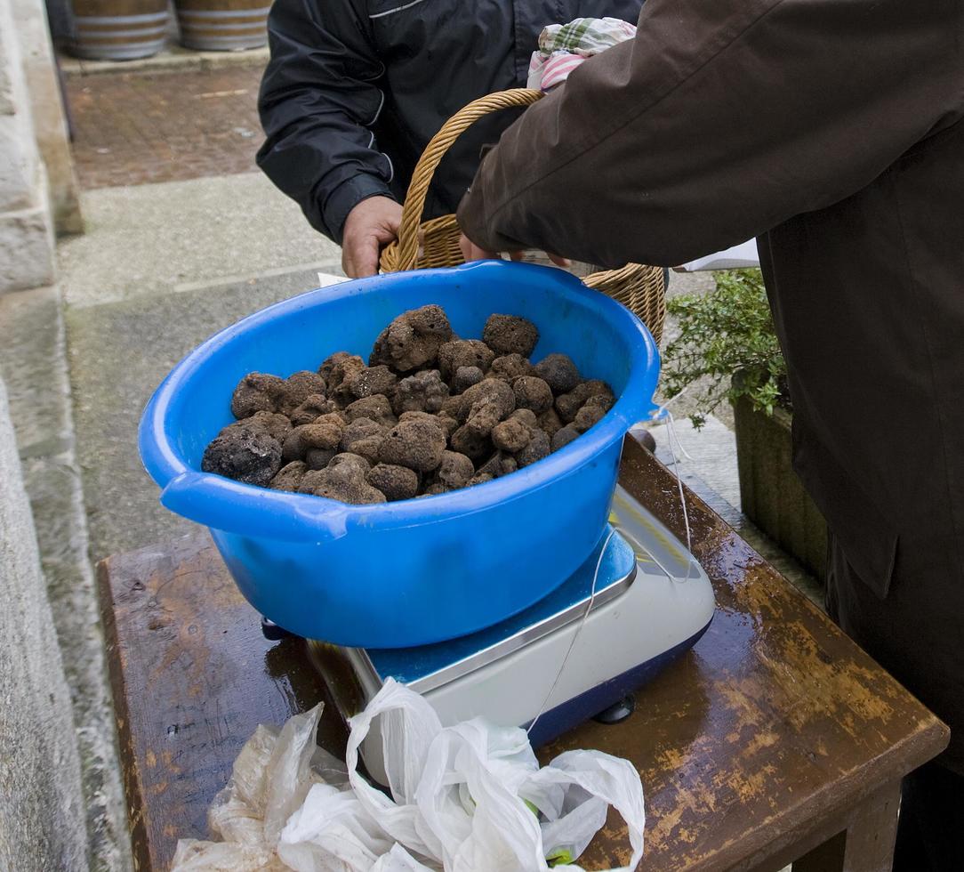 Mercado tradicional de la trufa negra de Lalbenque en Perigord, Francia foto