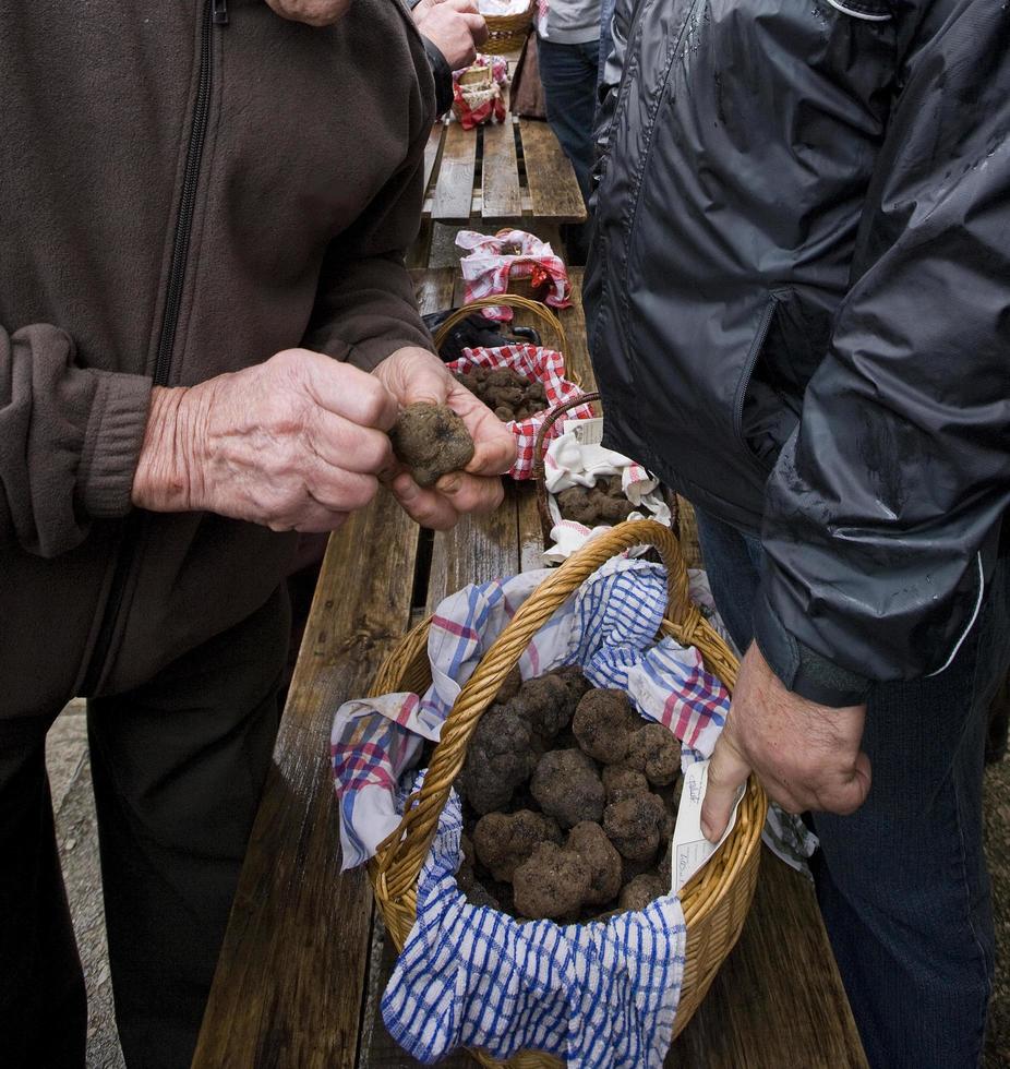 Mercado tradicional de la trufa negra de Lalbenque en Perigord, Francia foto