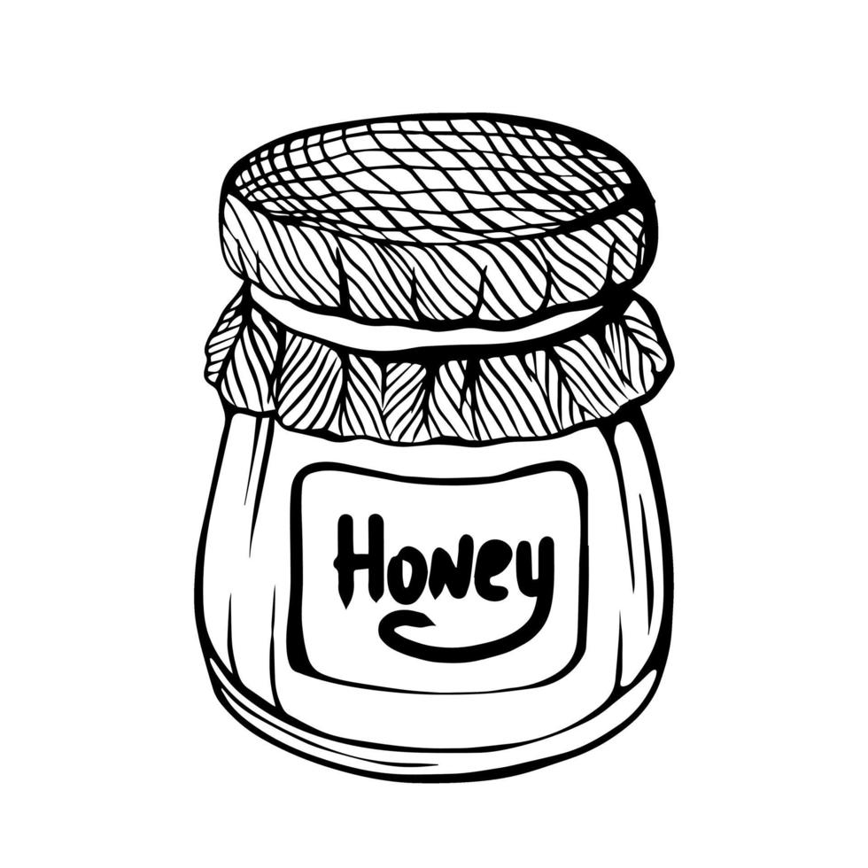 A jar of honey, isolated on a white background. Bee honey. Strengthening the immune system. Hand-drawn illustration in the Doodle style. vector