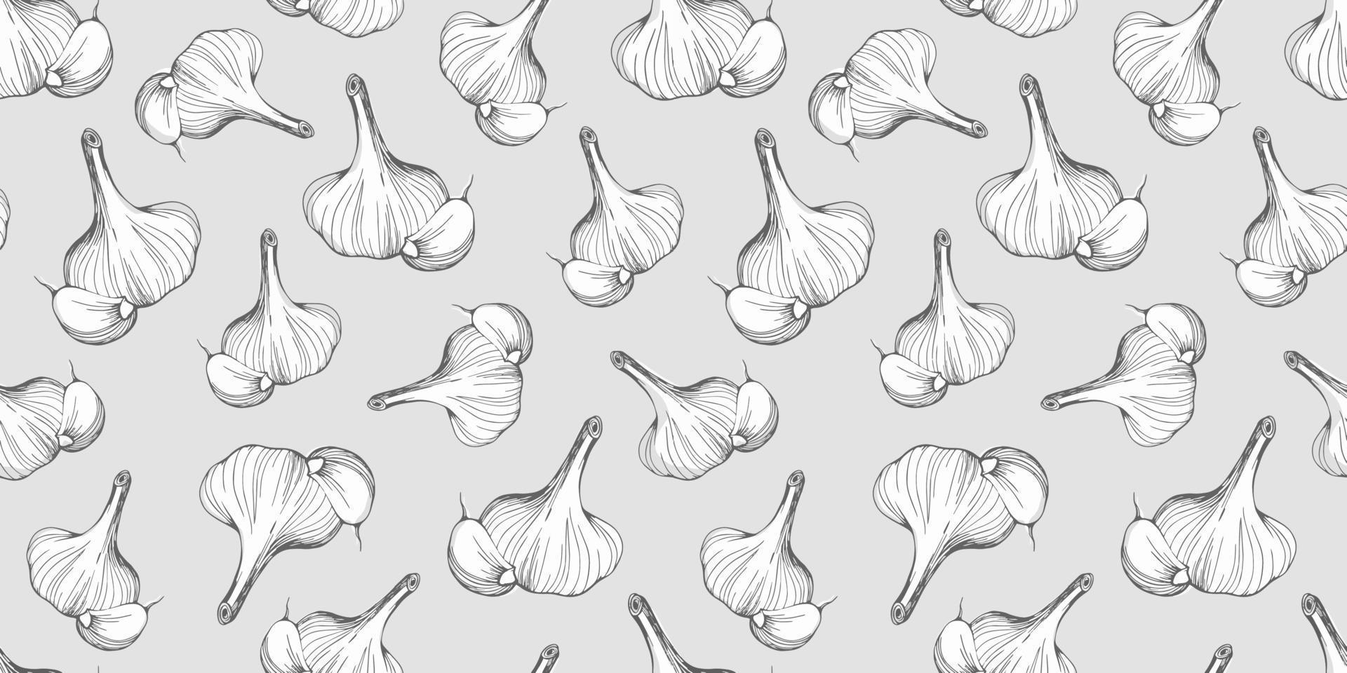 garlic seamless pattern vector