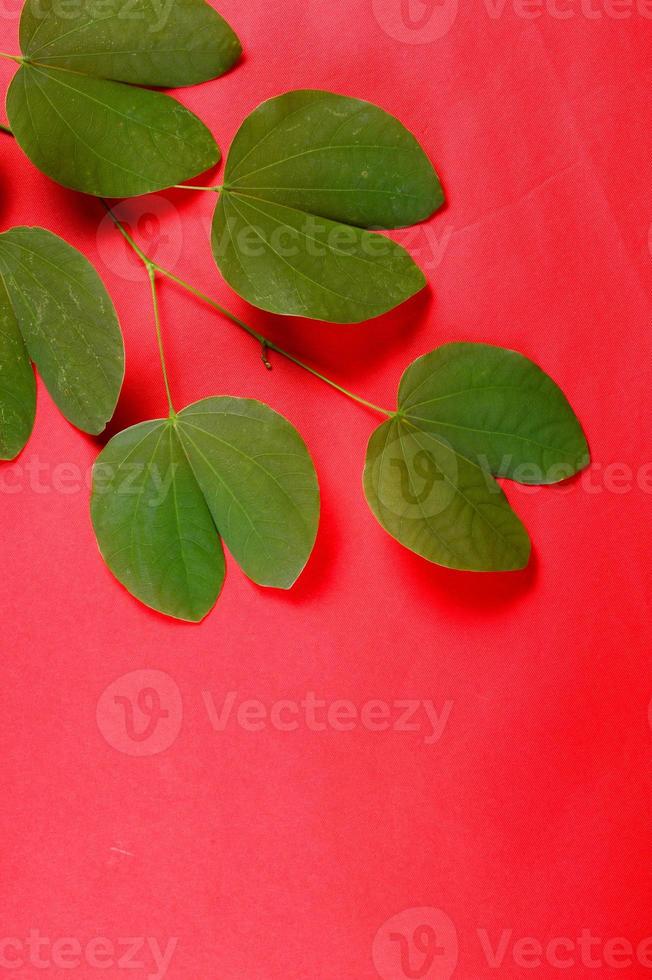 Indian Festival Dussehra, showing golden leaf on red background. Greeting card. photo