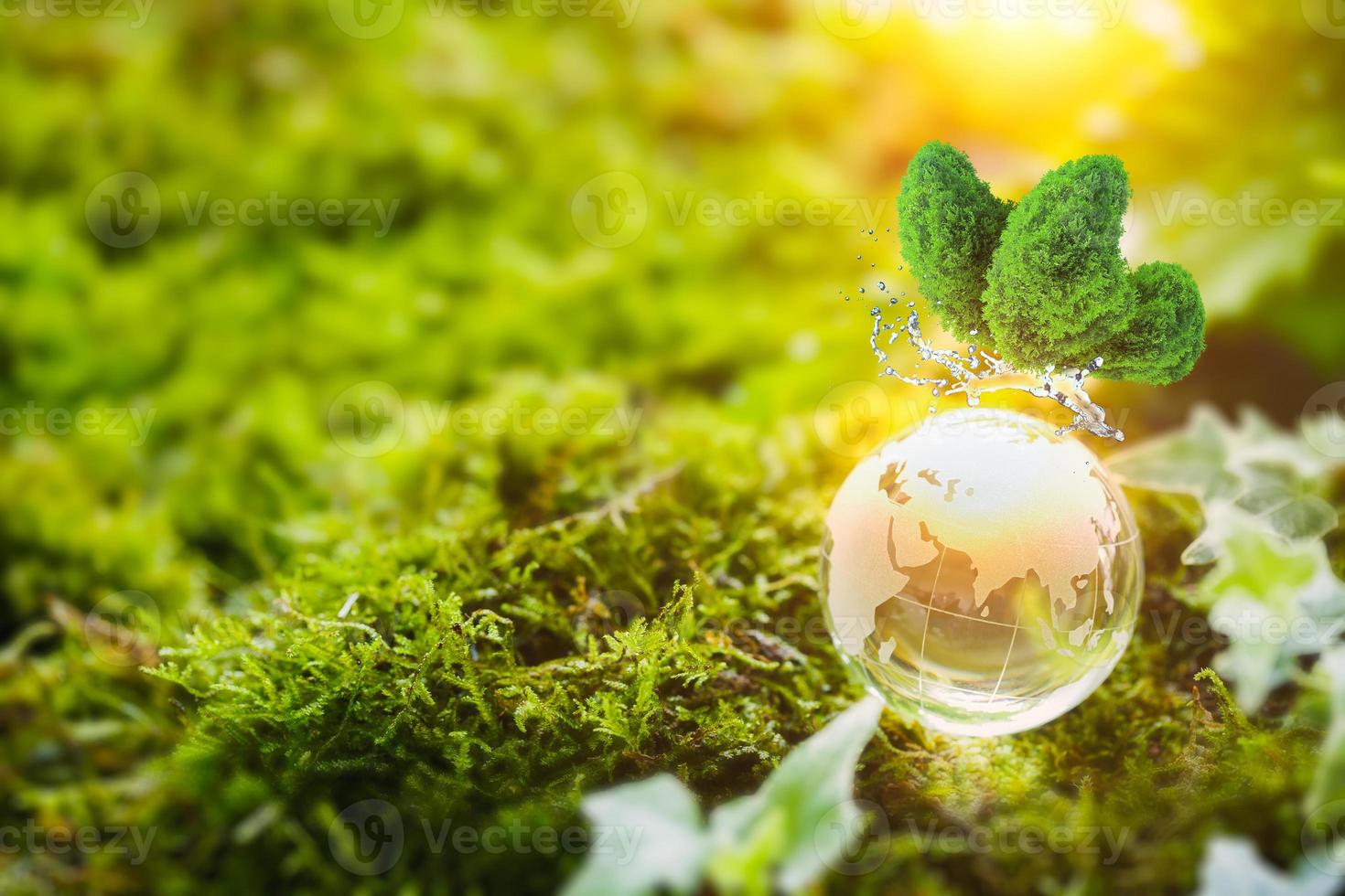 concepto de naturaleza de globo de cristal foto