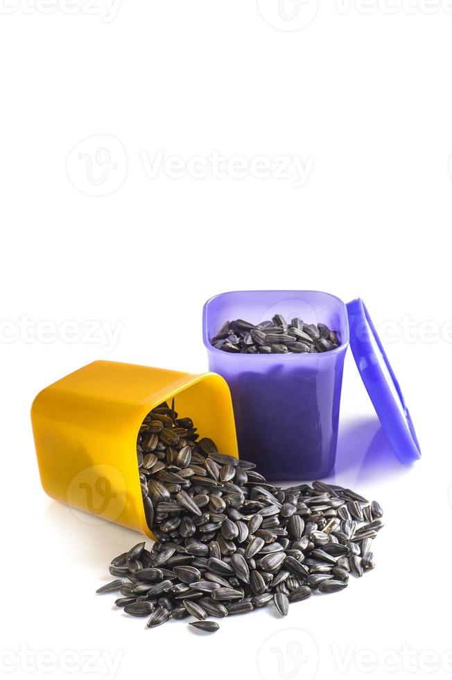 Sunflower Seeds in container on white background. Helianthus annuus. photo