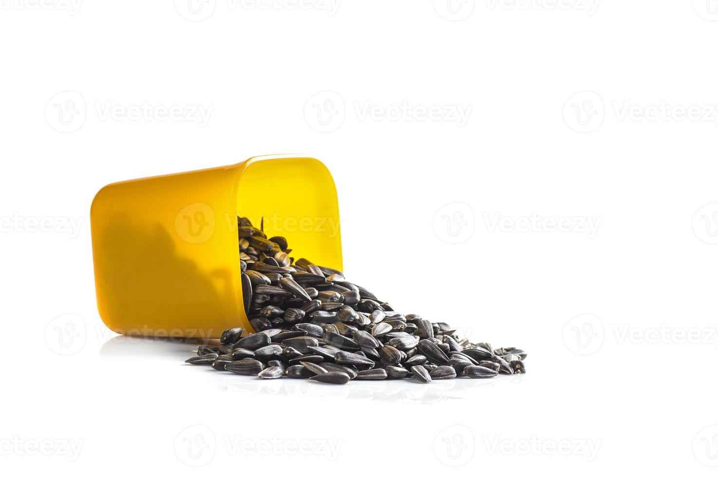 Sunflower Seeds in container on white background. Helianthus annuus. photo