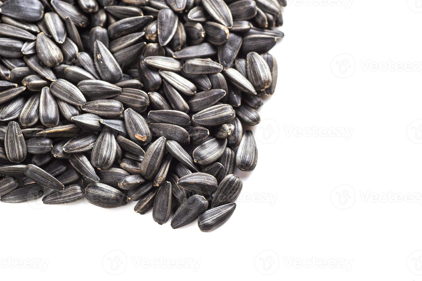 Sunflower Seeds on white background. Helianthus annuus. photo