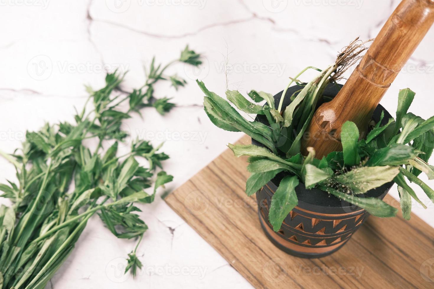 Hierbas verdes en la mesa de madera blanca foto