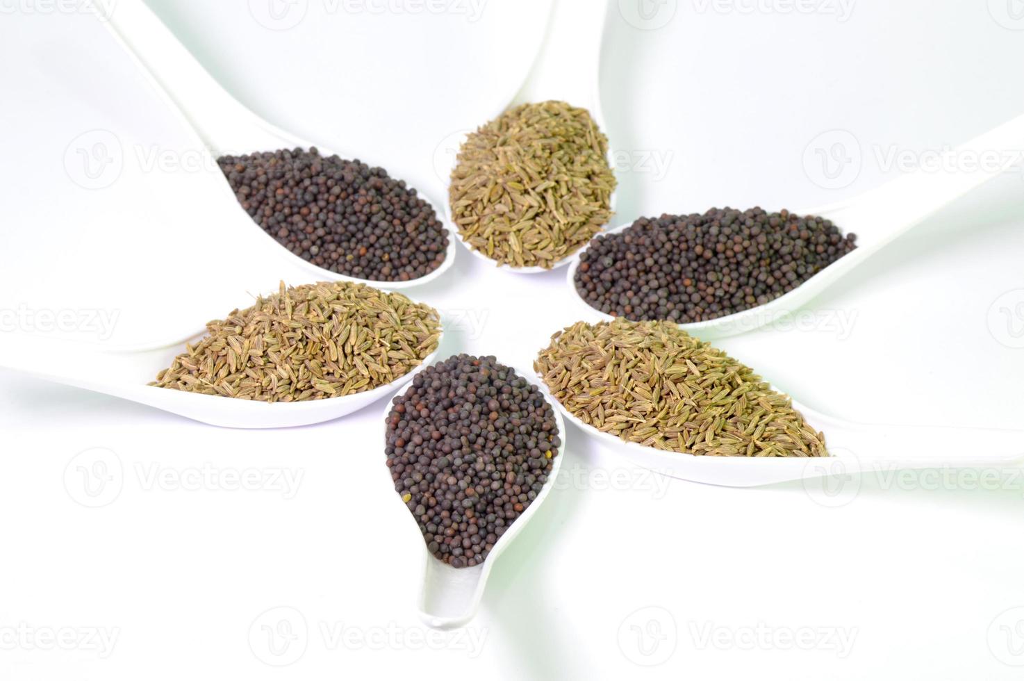 Brown Mustard and cumin seeds on white background photo