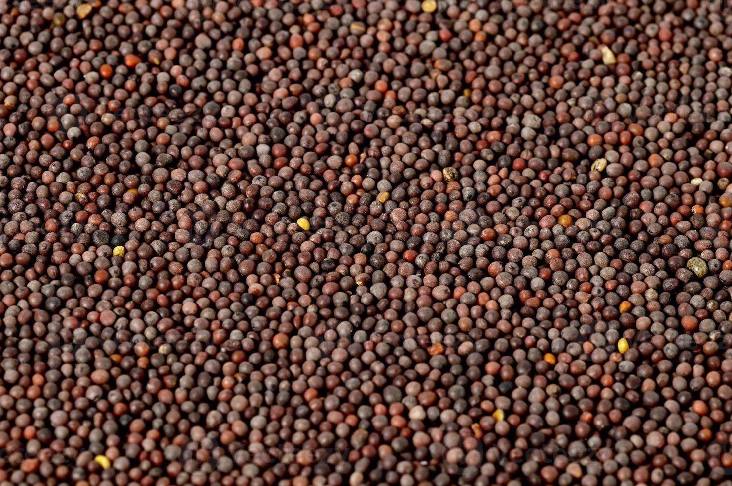 Semillas de mostaza marrón sobre un fondo blanco. foto